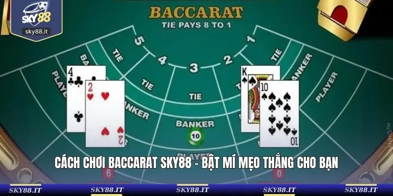 Cách Chơi Baccarat