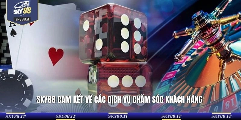 Nền tảng cam kết về các dịch vụ chăm sóc khách hàng 